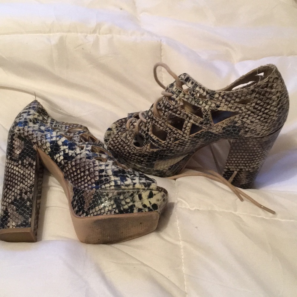 6.5 snakes